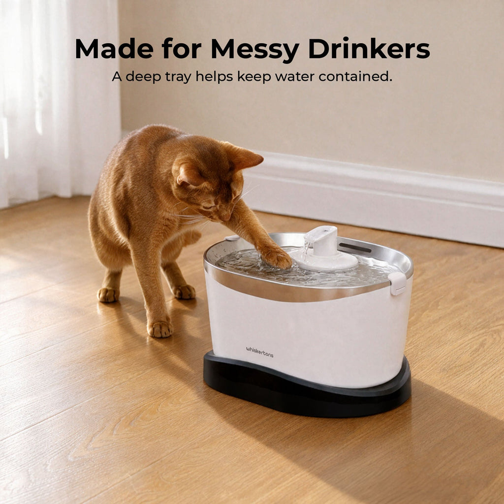Cat Water Fountain product image 4