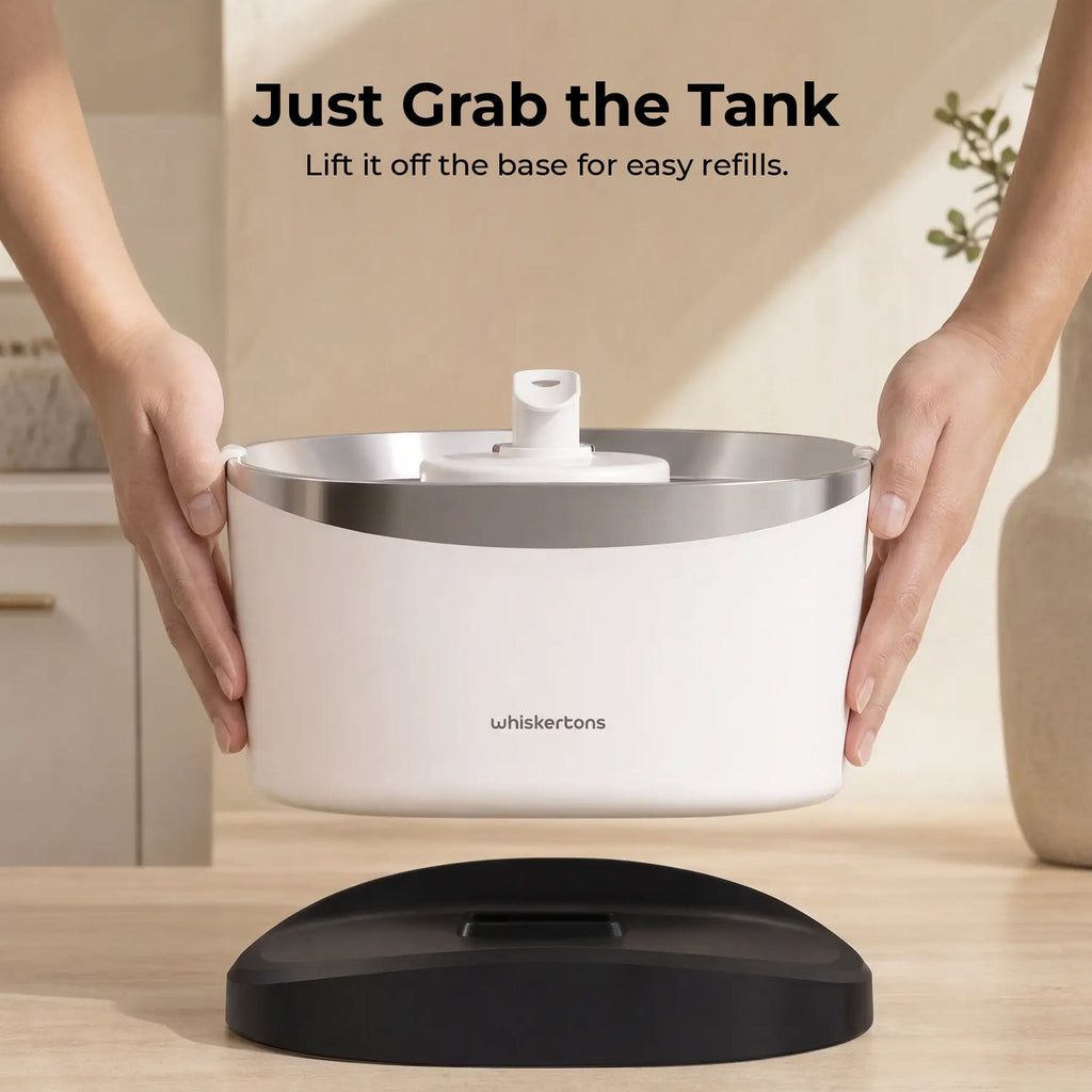 Cat Water Fountain product image 6