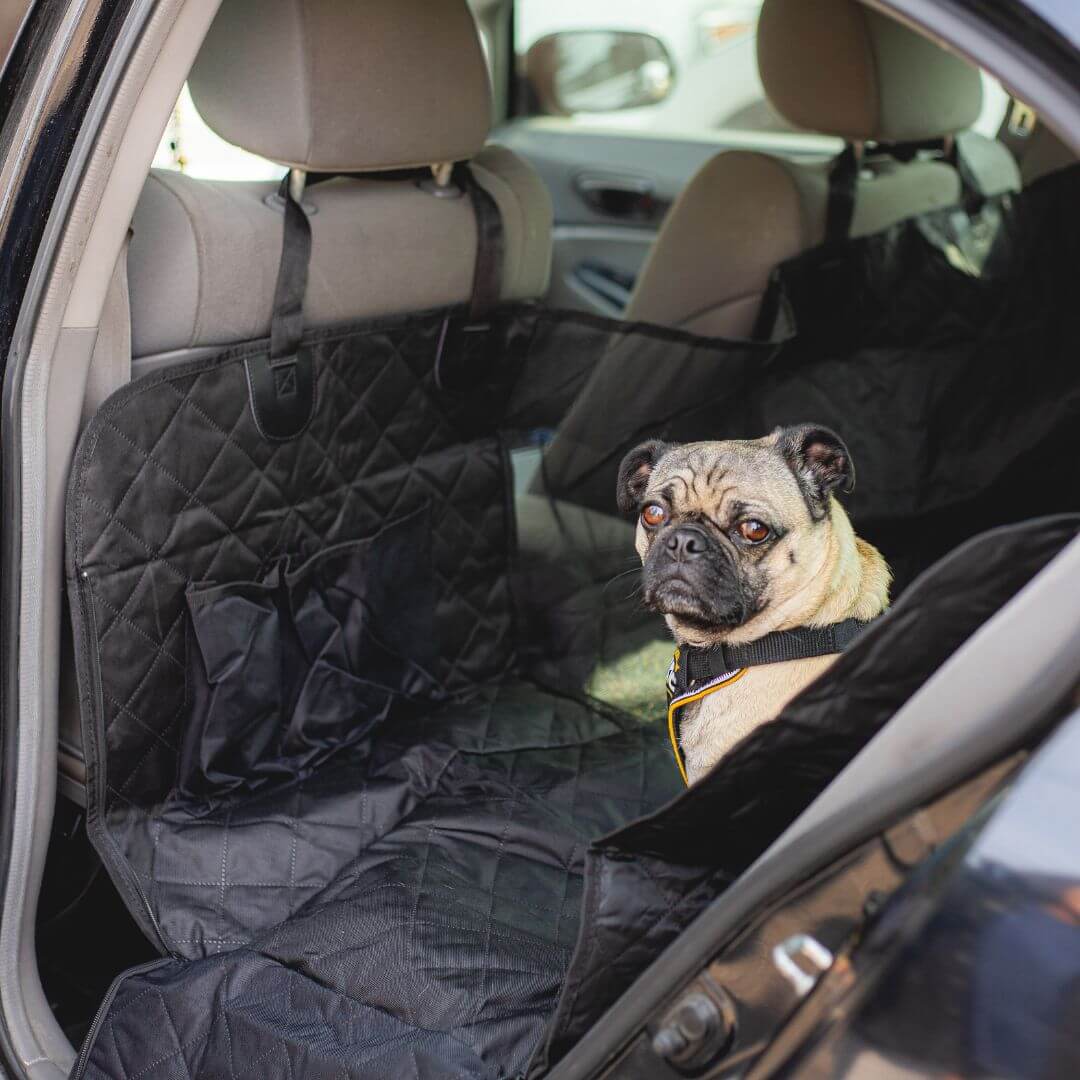 Dog Car Seat Cover product image 1