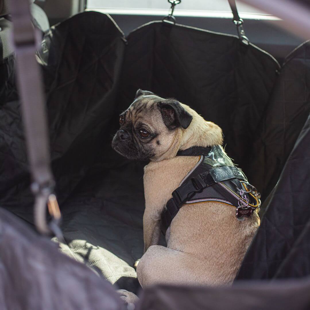 Dog Car Seat Cover product image 2