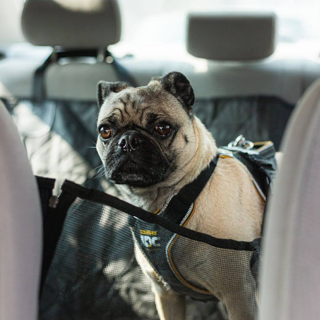 Dog Car Seat Cover product image 5