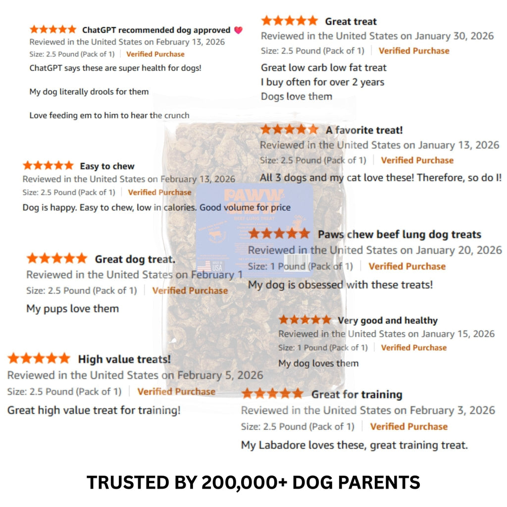 Beef Lung Treats - Paww Chew