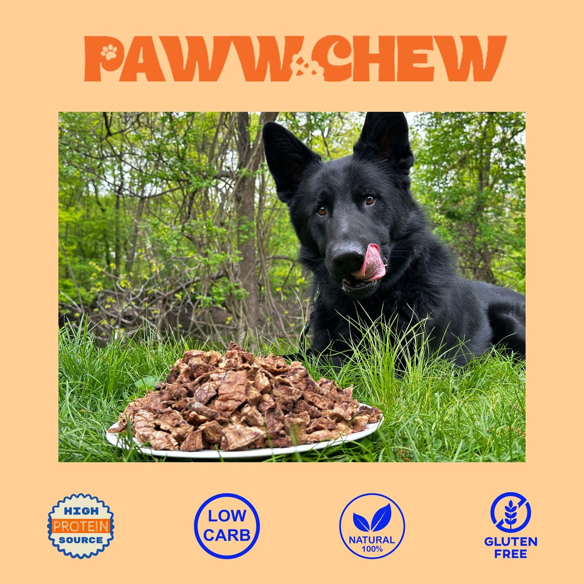 Beef Lung Treats - Paww Chew