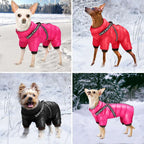 Dog Coat product image 6