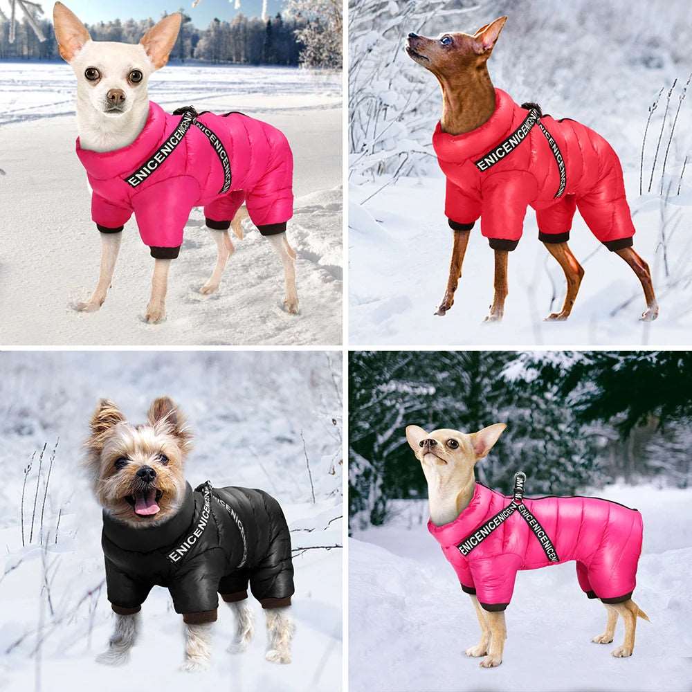 Dog Coat product image 6