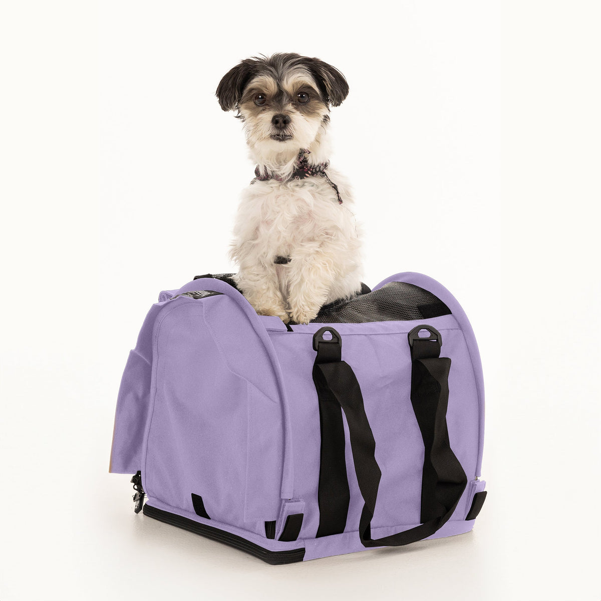 Soft-Sided Pet Carrier product image 10