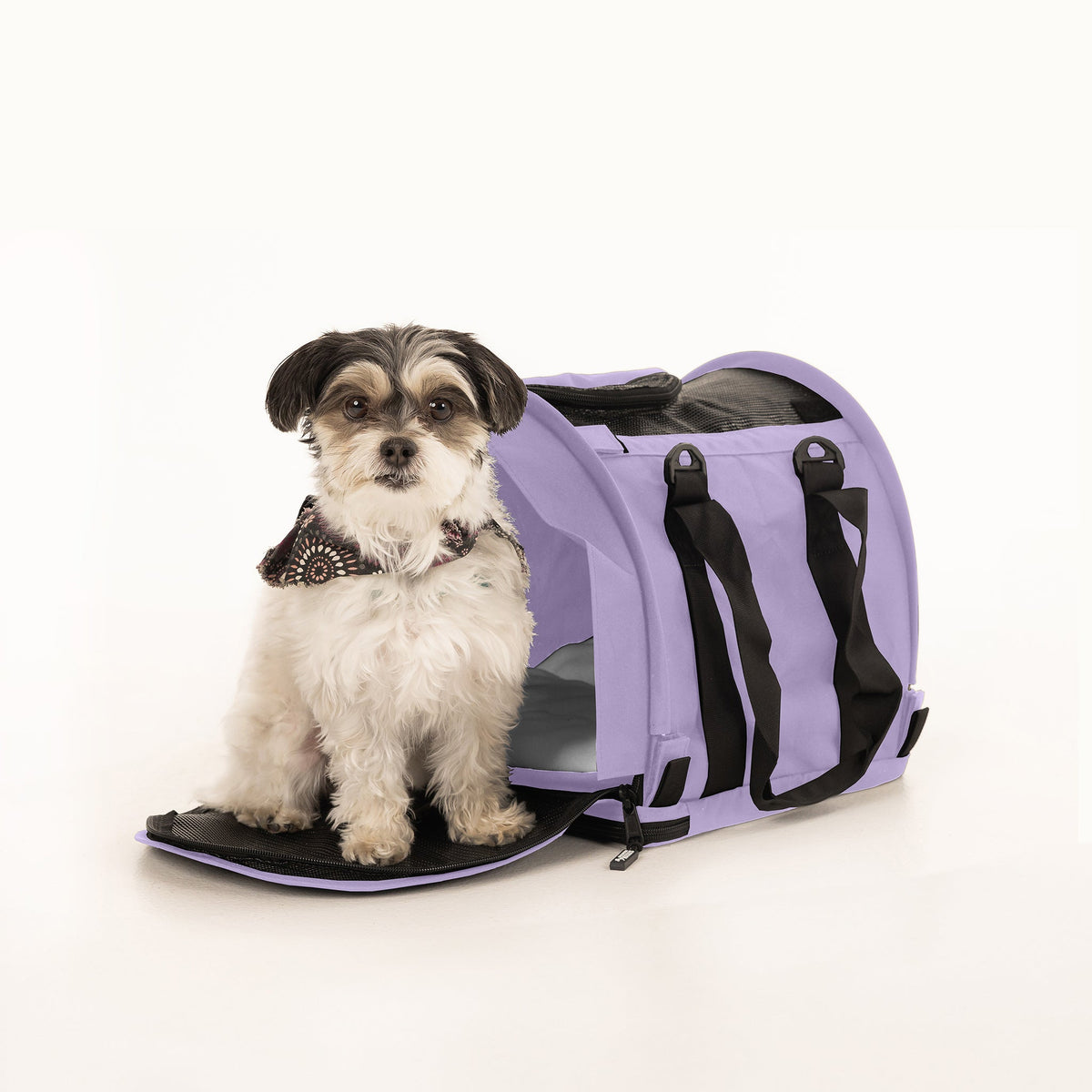 Soft-Sided Pet Carrier product image 11