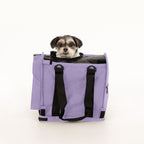Soft-Sided Pet Carrier product image 12