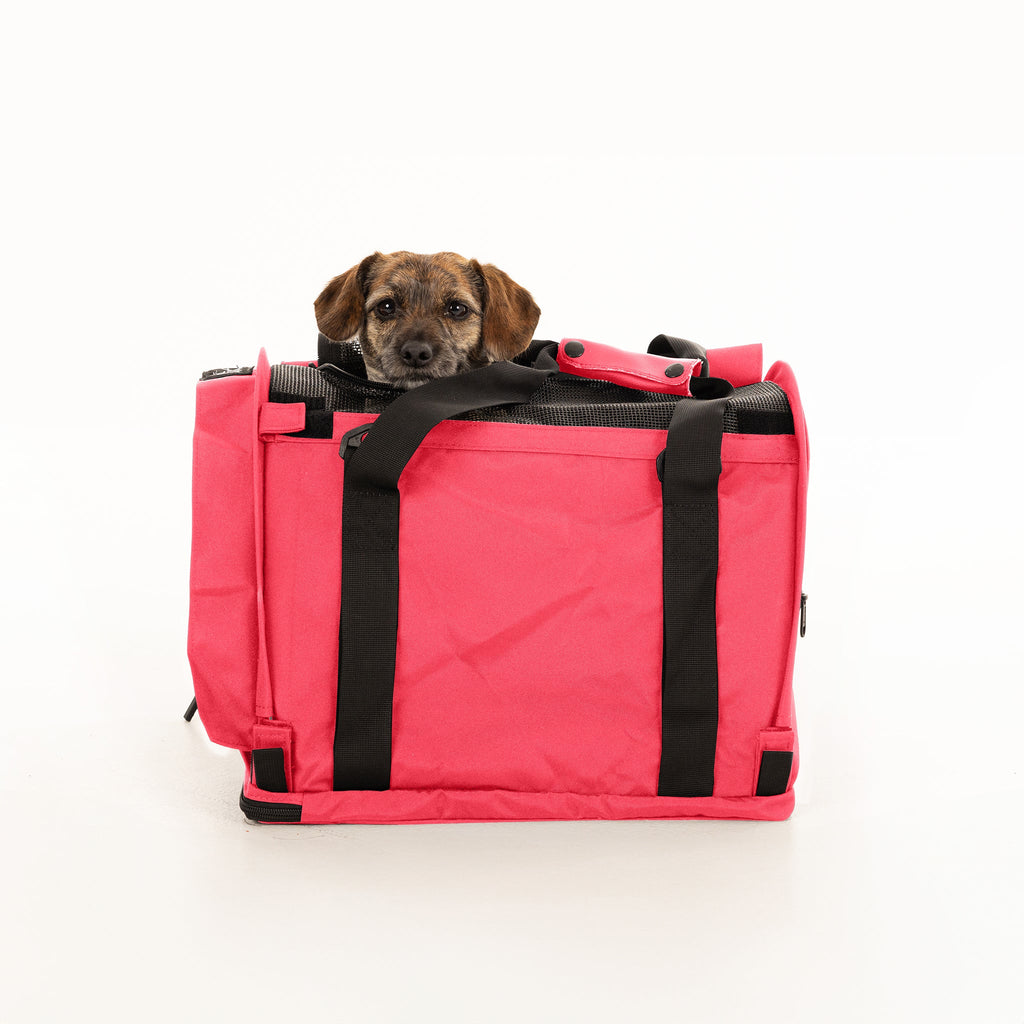 Soft-Sided Pet Carrier product image 22