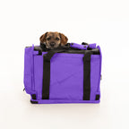 Soft-Sided Pet Carrier product image 24