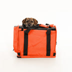 Soft-Sided Pet Carrier product image 28