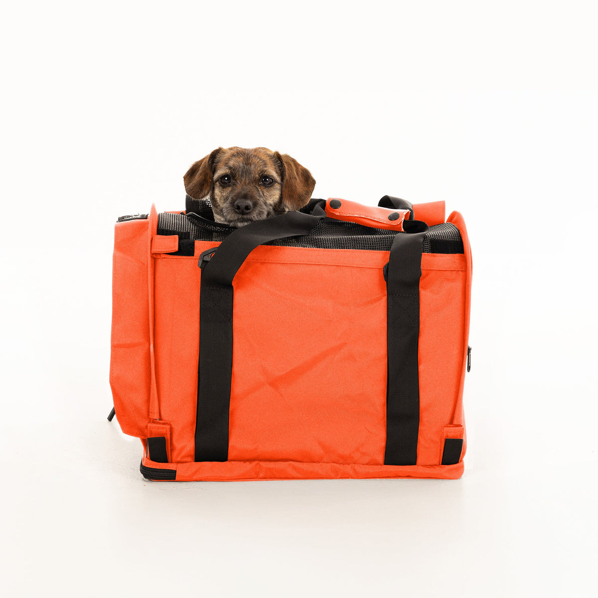 Soft-Sided Pet Carrier product image 28