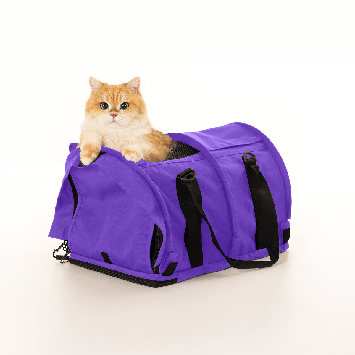 Soft-Sided Pet Carrier product image 32