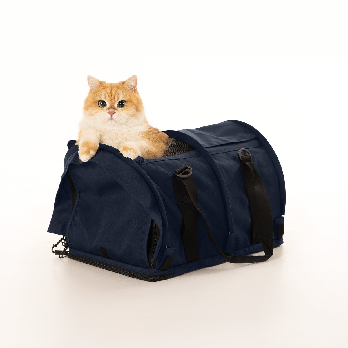 Soft-Sided Pet Carrier product image 34