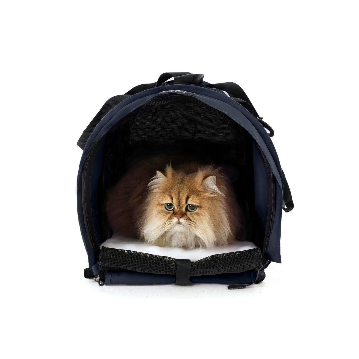 Soft-Sided Pet Carrier product image 46
