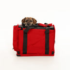Soft-Sided Pet Carrier product image 59