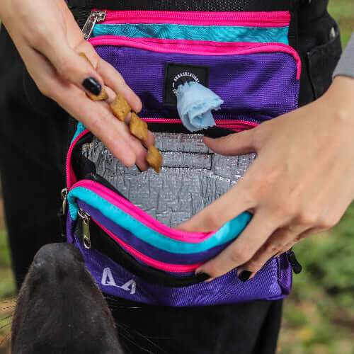 Dog Treat Pouch product image 4
