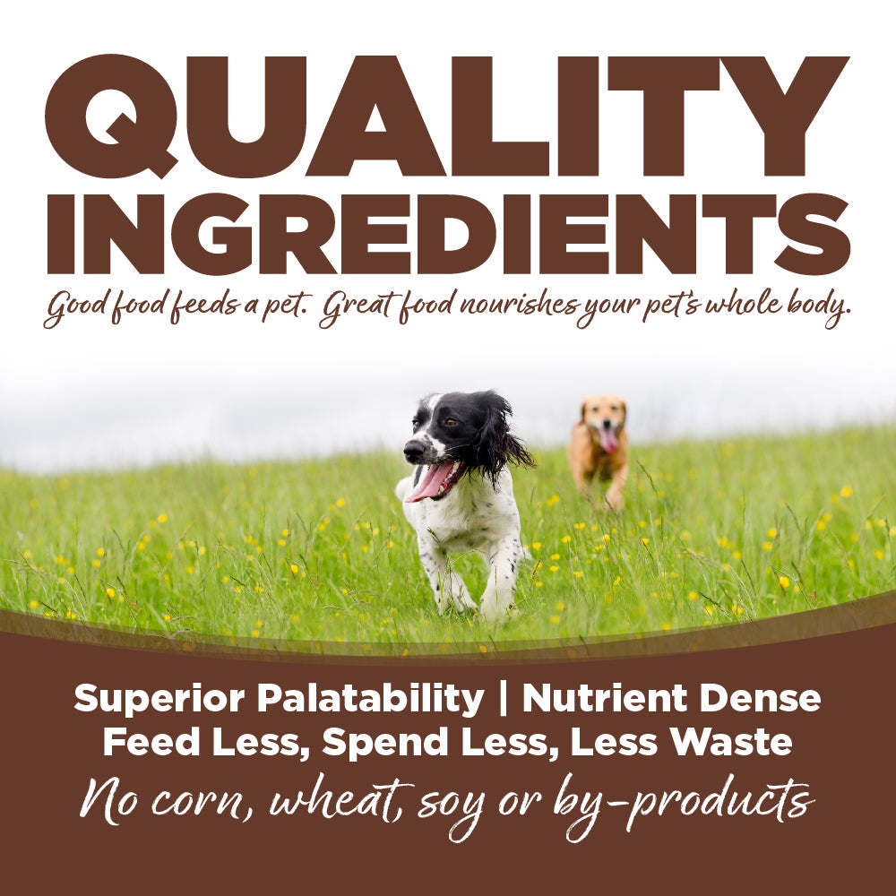 Large Breed Dog Food product image 6