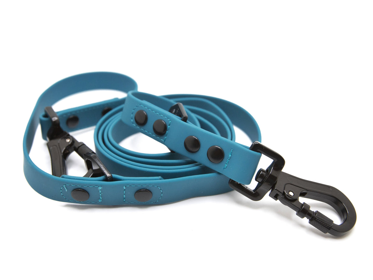 Dog Leash product image 1
