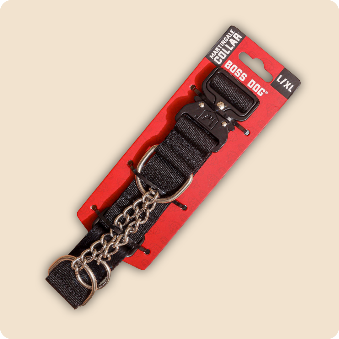 Martingale Dog Collar product image 1