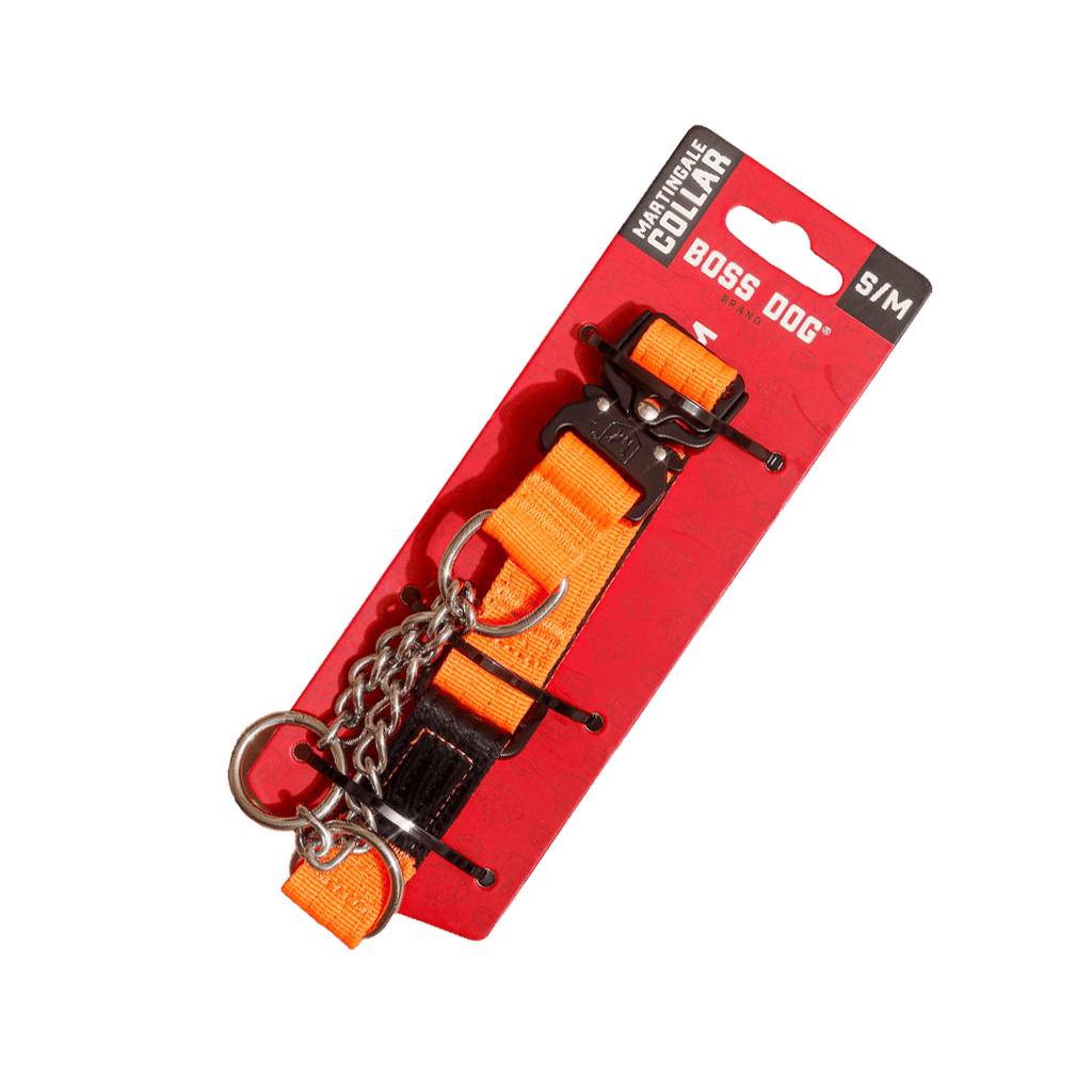 Martingale Dog Collar product image 4
