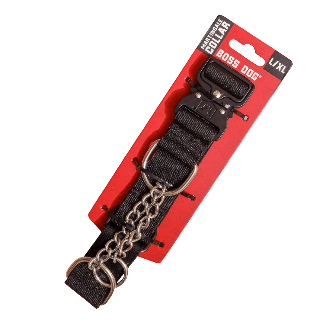 Martingale Dog Collar product image 5