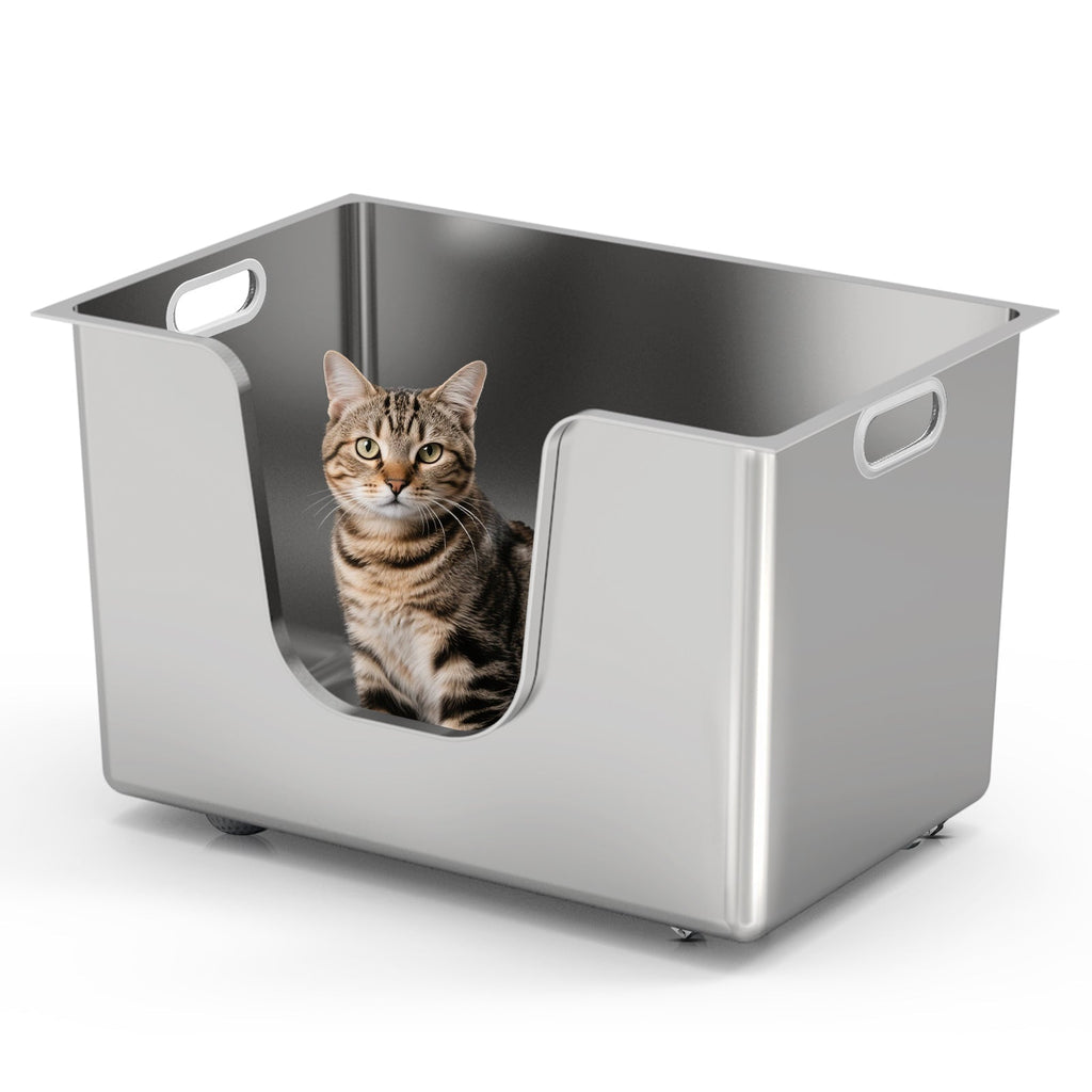 Large cat inside an XL side-entry stainless steel litter box