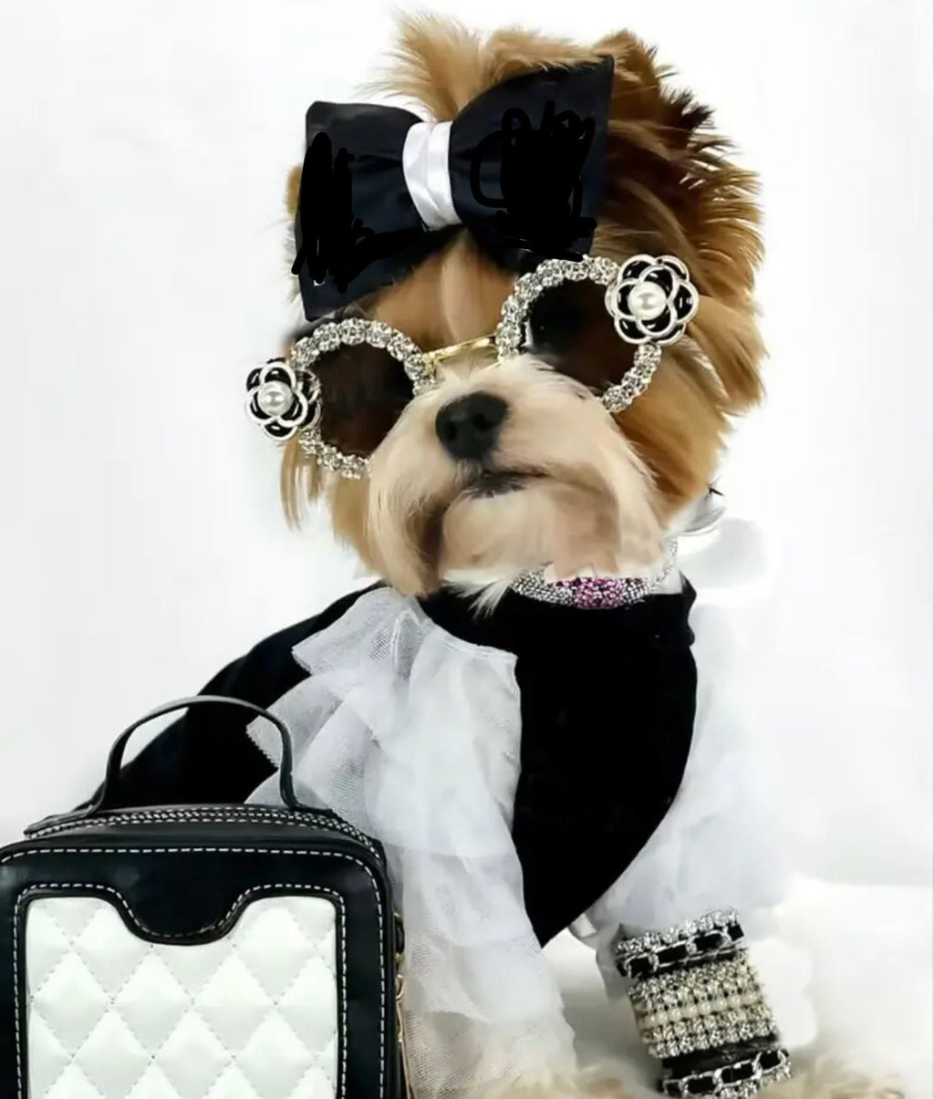 Dog Sunglasses product image 1
