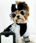 Dog Sunglasses product image 1