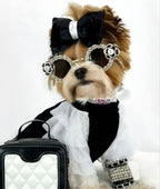 Dog Sunglasses product image 1