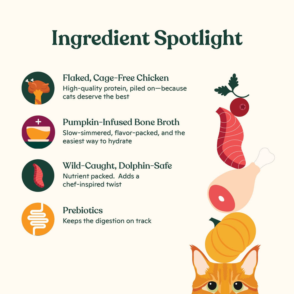 Wet Cat Food product image 4