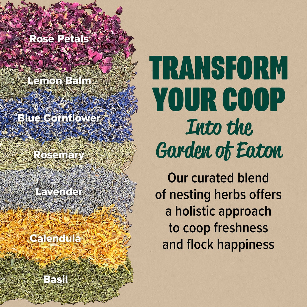 Chicken Nesting Herbs product image 2
