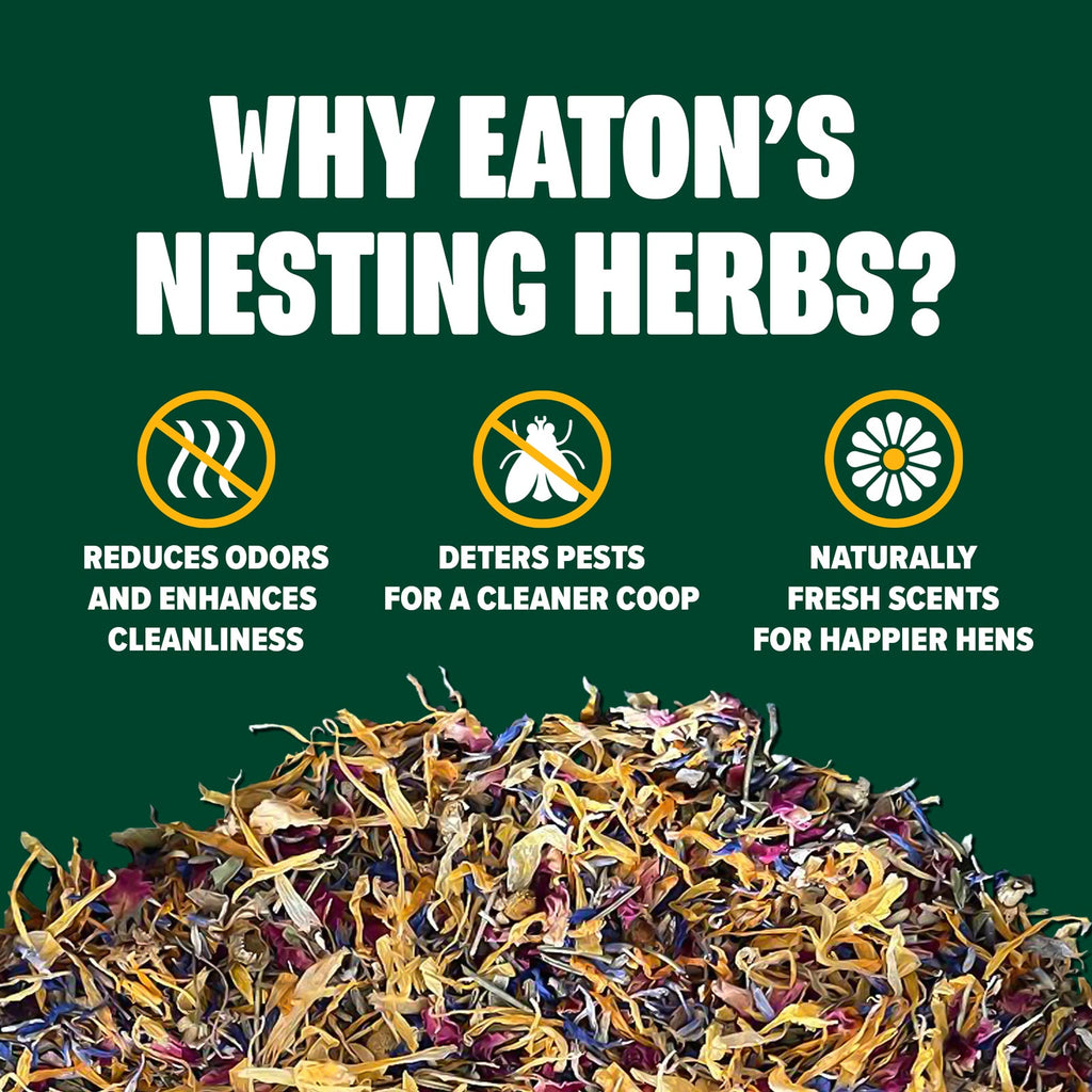 Chicken Nesting Herbs product image 3