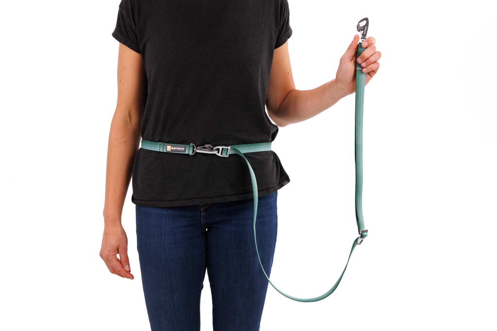 Adjustable Double-Ended Dog Leash product image 40