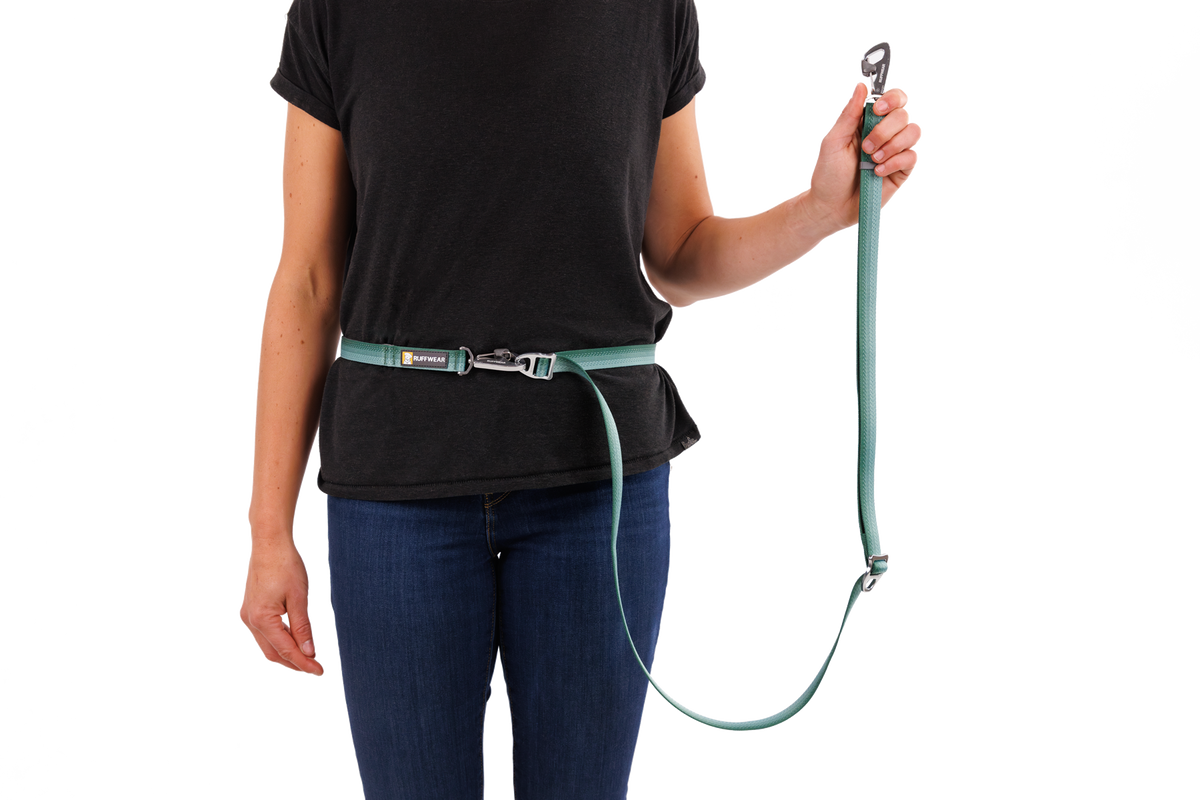 Adjustable Double-Ended Dog Leash product image 40
