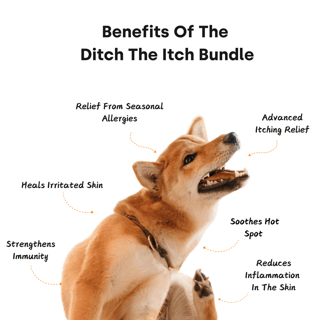 Dog Itch Chews product image 3