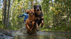 Dog Pulling Harness product image 2