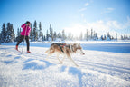 Dog Pulling Harness product image 4