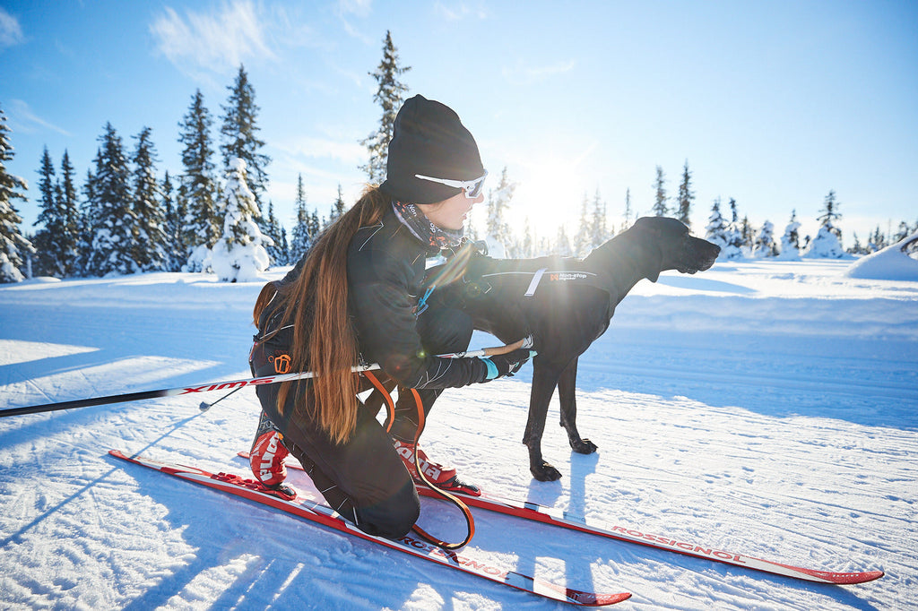 Dog Pulling Harness product image 5