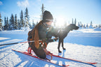 Dog Pulling Harness product image 5