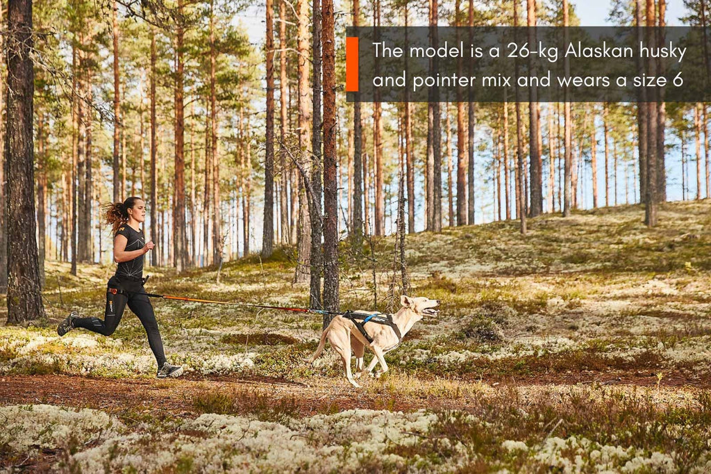 Dog Pulling Harness product image 6