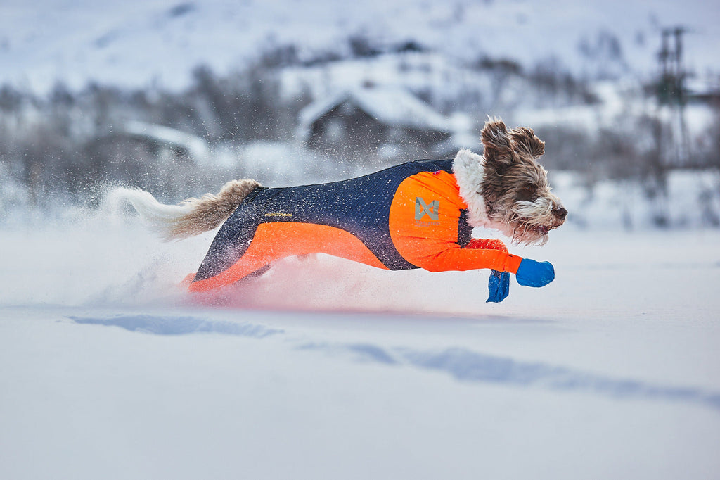 Dog Snow Suit product image 2