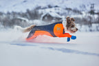 Dog Snow Suit product image 2