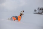 Dog Snow Suit product image 4