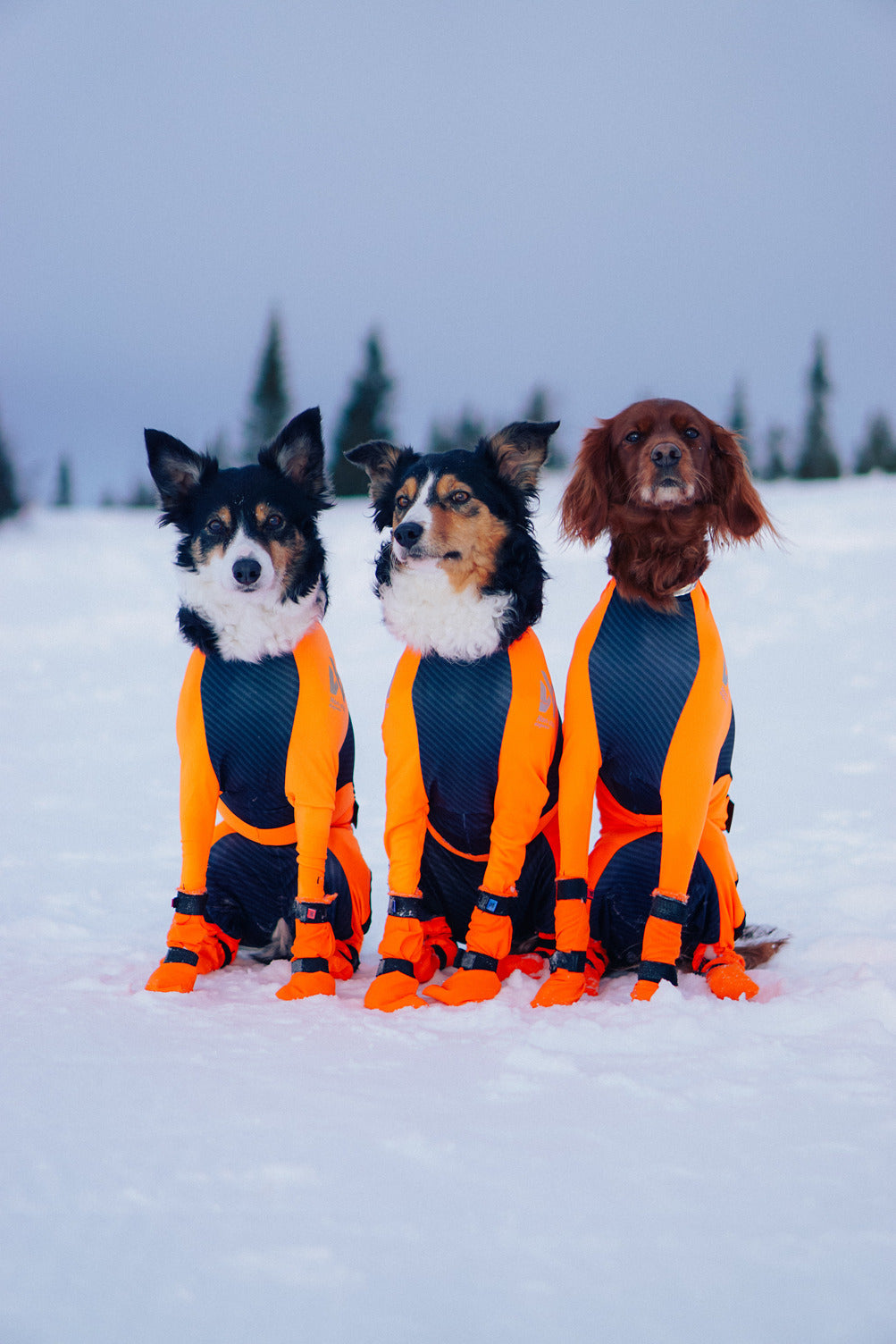 Dog Snow Suit product image 5