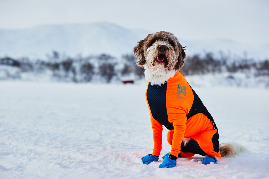 Dog Snow Suit product image 6