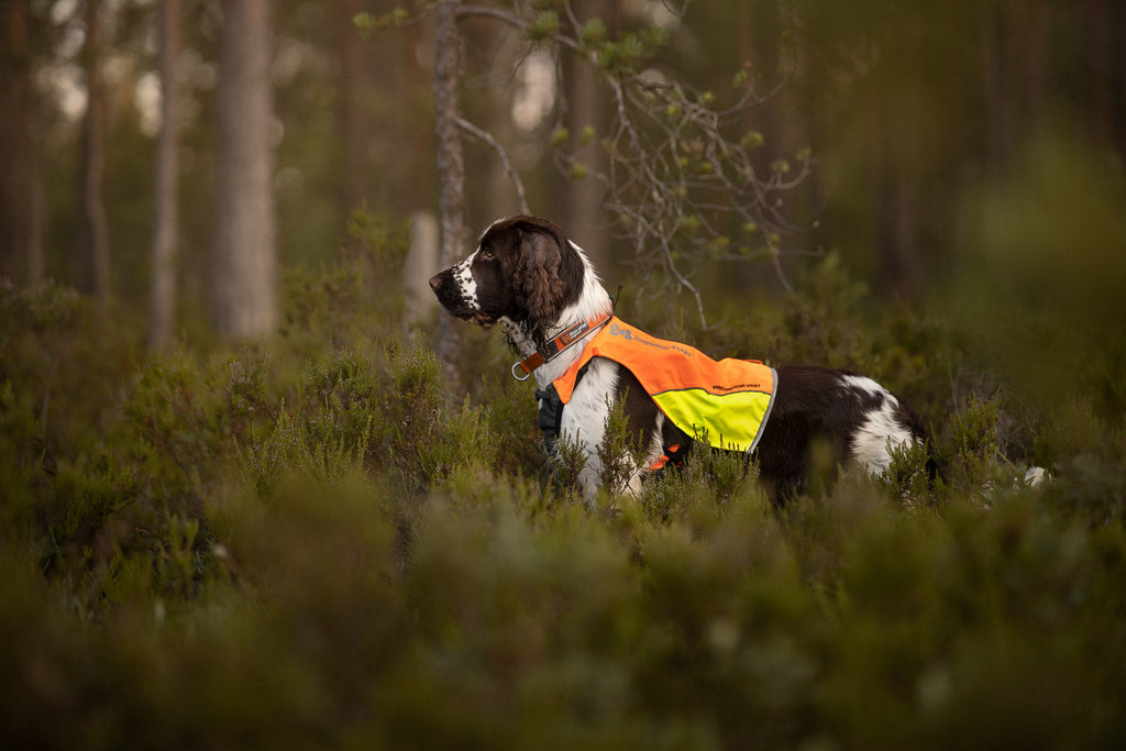 Hunting Dog Vest product image 2