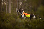 Hunting Dog Vest product image 2