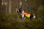 Hunting Dog Vest product image 5