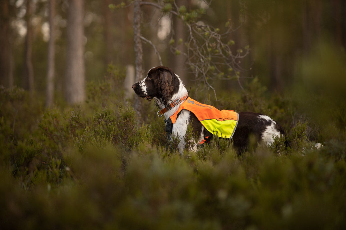 Hunting Dog Vest product image 5
